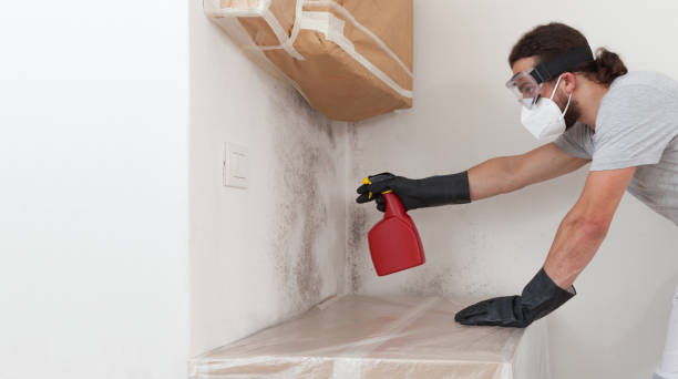 Professional Bathroom Mold Removal technician working in Lancaster, KY
