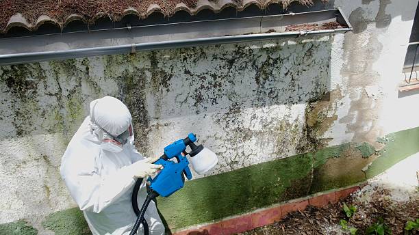 Top rated local Bathroom Mold Removal specialists in Lancaster, KY